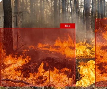 Fire Detection